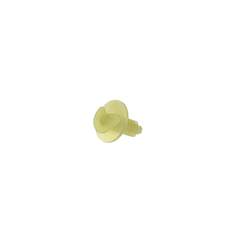 30253