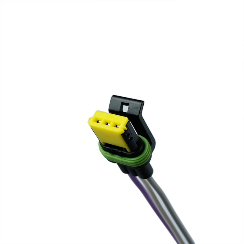 29454