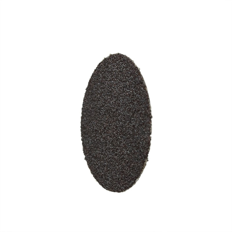 31598