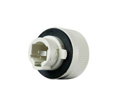 Soquete para Lanterna 1 Polo Rainha das Sete